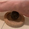 Hukka Mini SoleJoy Sauna Massage Stone with Natural Cork Base, Sphere