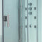 Platinum DZ959F8 2 Person Walk-In Steam Shower