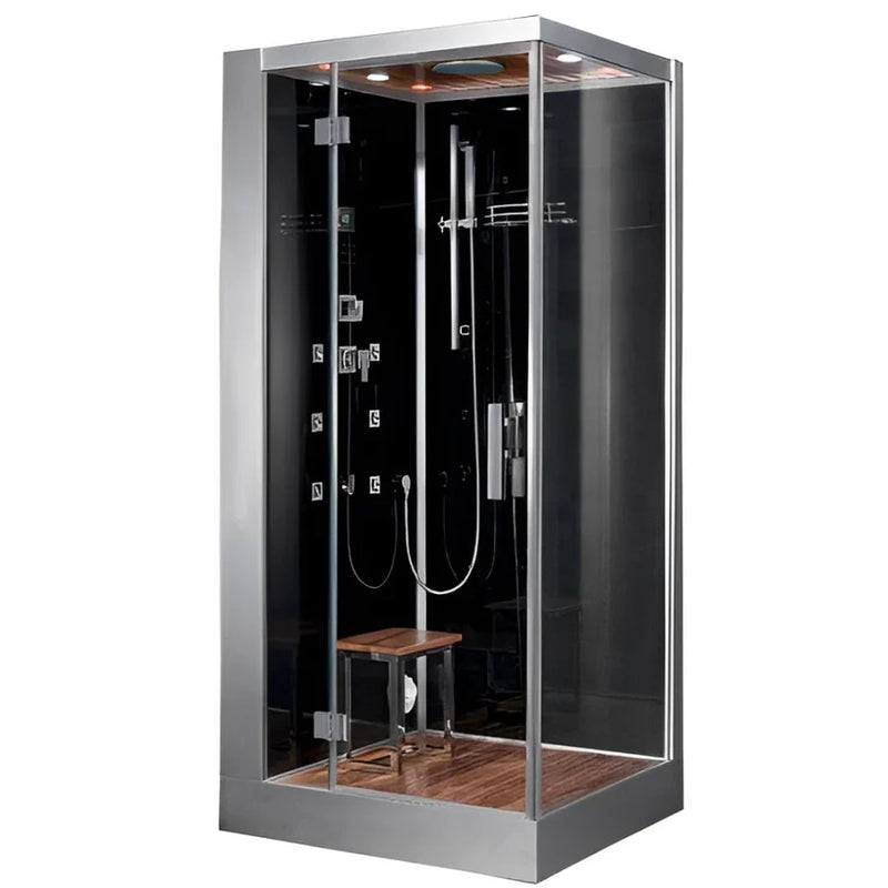 Platinum DZ960F8 1 Person Walk-In Steam Shower