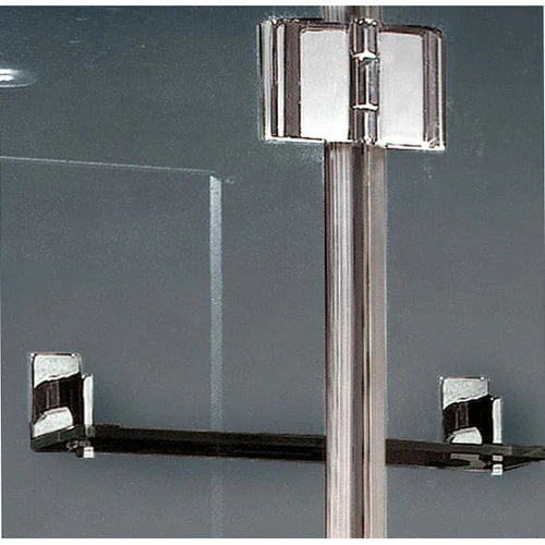 Platinum DZ972F8 2-Person Walk-In Steam Shower